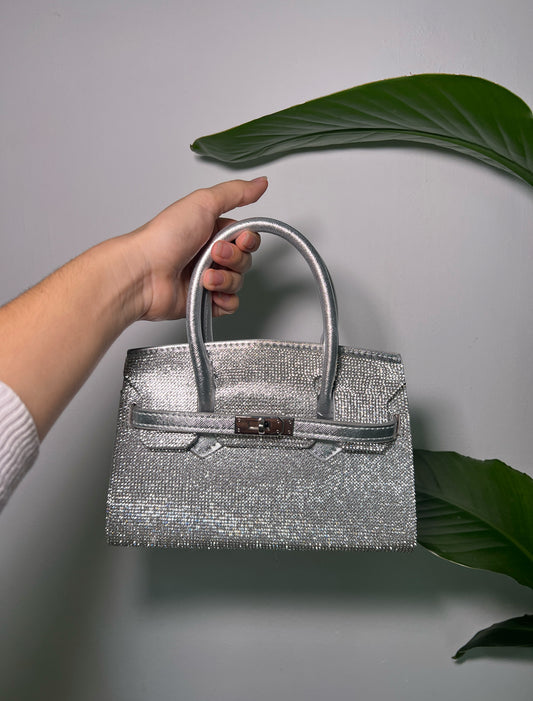 Kelly Silver Bag